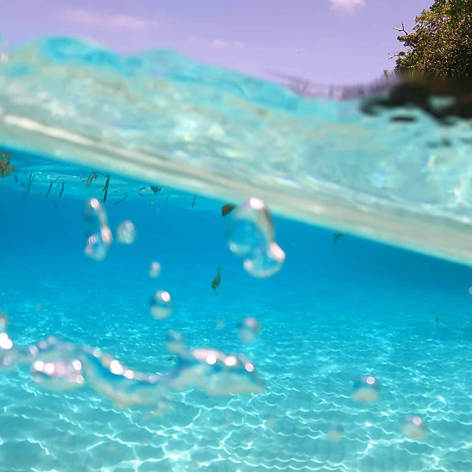 Into the Clear: Snorkeling Adventures at Bitaog Beach, Philippines